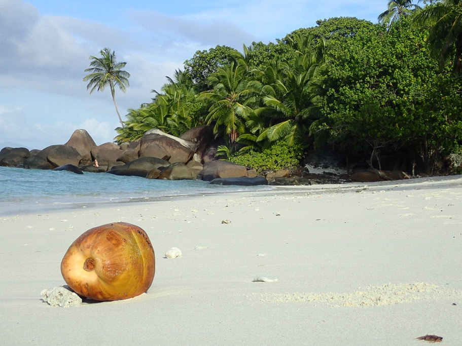 Beach | Silhouette Island | Seychelles
