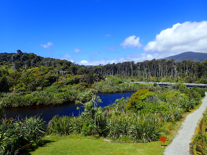 Haast Swamp Forest Walk